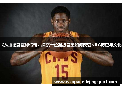 《从维德到篮球传奇：探索一位超级巨星如何改变NBA历史与文化》